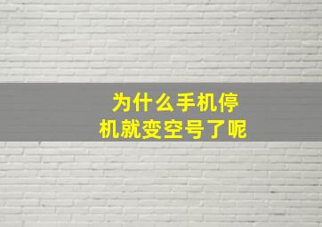 为什么手机停机就变空号了呢