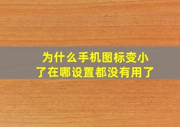 为什么手机图标变小了在哪设置都没有用了