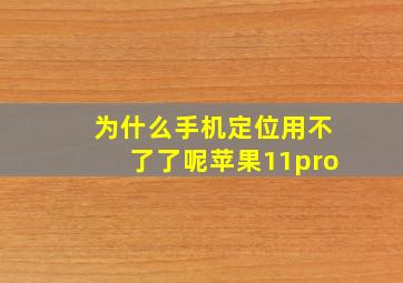 为什么手机定位用不了了呢苹果11pro