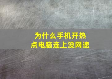 为什么手机开热点电脑连上没网速