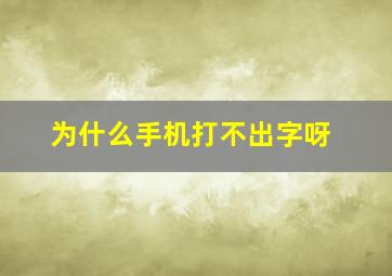 为什么手机打不出字呀