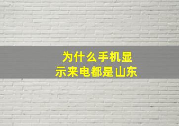 为什么手机显示来电都是山东