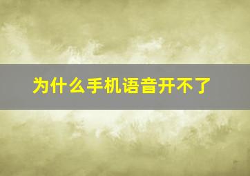 为什么手机语音开不了