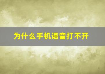 为什么手机语音打不开