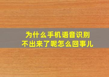 为什么手机语音识别不出来了呢怎么回事儿