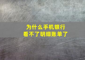 为什么手机银行看不了明细账单了