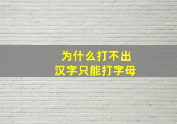 为什么打不出汉字只能打字母