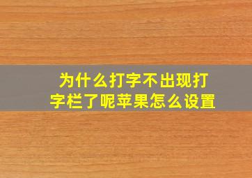 为什么打字不出现打字栏了呢苹果怎么设置