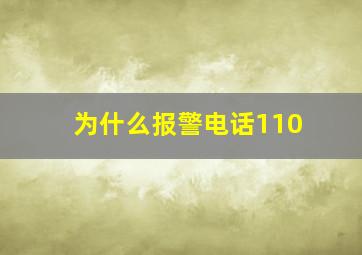 为什么报警电话110