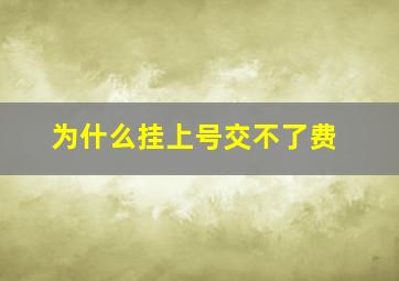 为什么挂上号交不了费