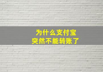 为什么支付宝突然不能转账了