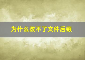 为什么改不了文件后缀