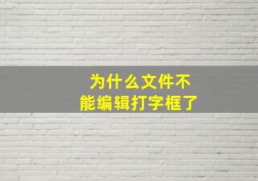 为什么文件不能编辑打字框了