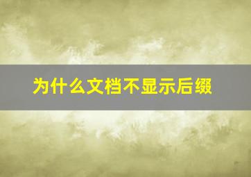 为什么文档不显示后缀