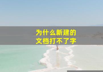 为什么新建的文档打不了字