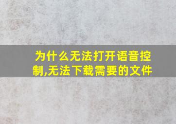 为什么无法打开语音控制,无法下载需要的文件