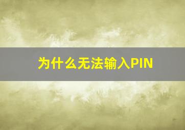 为什么无法输入PIN