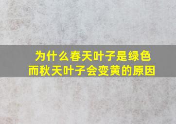 为什么春天叶子是绿色而秋天叶子会变黄的原因