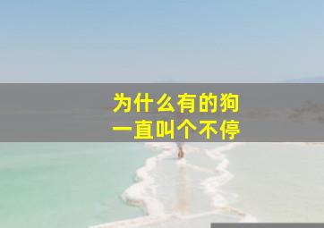 为什么有的狗一直叫个不停