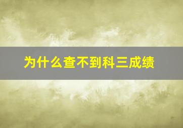 为什么查不到科三成绩