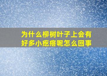 为什么柳树叶子上会有好多小疙瘩呢怎么回事