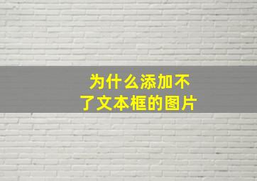 为什么添加不了文本框的图片