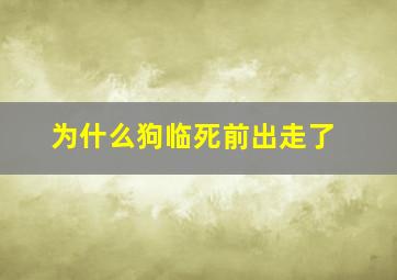 为什么狗临死前出走了