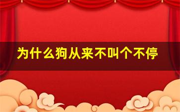 为什么狗从来不叫个不停