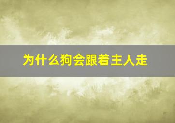 为什么狗会跟着主人走