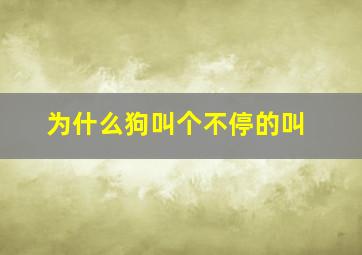 为什么狗叫个不停的叫