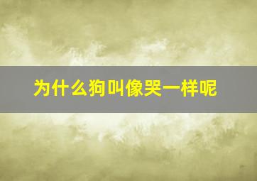 为什么狗叫像哭一样呢