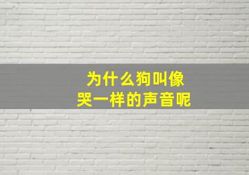 为什么狗叫像哭一样的声音呢