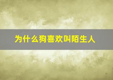 为什么狗喜欢叫陌生人