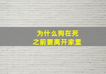 为什么狗在死之前要离开家里