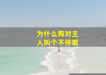 为什么狗对主人叫个不停呢