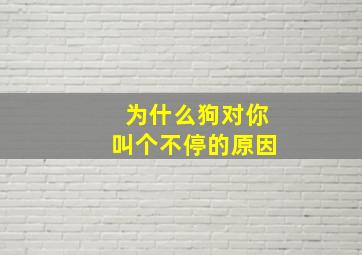 为什么狗对你叫个不停的原因