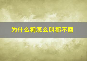 为什么狗怎么叫都不回