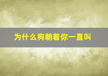 为什么狗朝着你一直叫