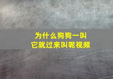 为什么狗狗一叫它就过来叫呢视频