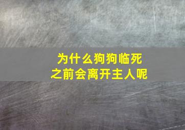 为什么狗狗临死之前会离开主人呢