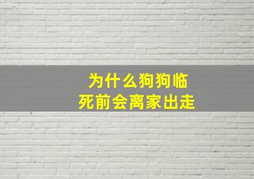 为什么狗狗临死前会离家出走