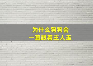 为什么狗狗会一直跟着主人走