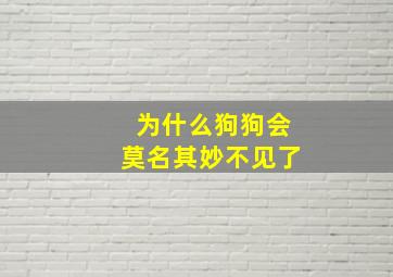 为什么狗狗会莫名其妙不见了