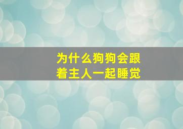 为什么狗狗会跟着主人一起睡觉