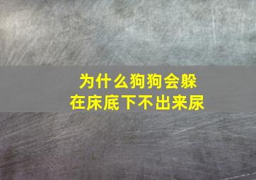 为什么狗狗会躲在床底下不出来尿