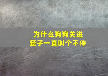 为什么狗狗关进笼子一直叫个不停