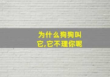 为什么狗狗叫它,它不理你呢