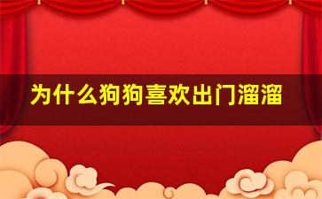 为什么狗狗喜欢出门溜溜