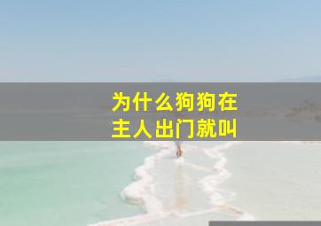 为什么狗狗在主人出门就叫