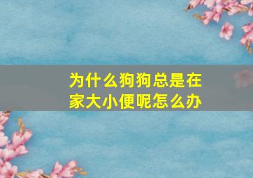 为什么狗狗总是在家大小便呢怎么办